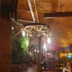 Szamos Sörkert Szeged - Egyéb