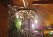 Szamos Sörkert Szeged