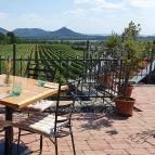 Szászi Birtok Viridárium Étterem Hegymagas - Egyéb