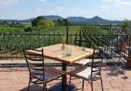 Szászi Birtok Viridárium Étterem Hegymagas