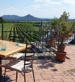 Szászi Birtok Viridárium Étterem