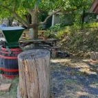 Szászi Birtok Viridárium Étterem Hegymagas - Egyéb