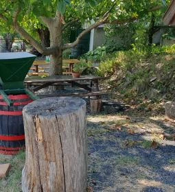 Szászi Birtok Viridárium Étterem