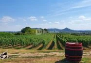 Szászi Birtok Viridárium Étterem Hegymagas