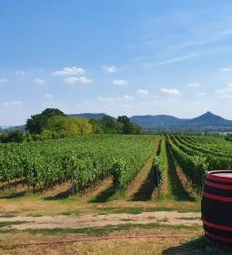 Szászi Birtok Viridárium Étterem