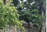 Szászi Vinotéka Szigliget