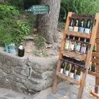 Szászi Vinotéka Szigliget - Egyéb