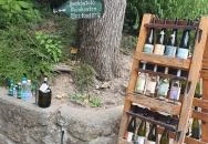 Szászi Vinotéka Szigliget