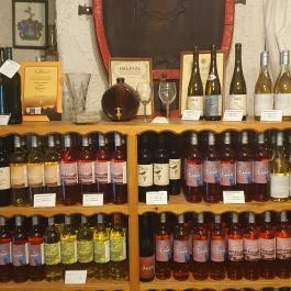 Szászi Vinotéka Szigliget - Egyéb