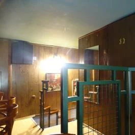 Szavanna Ivó Budapest - Belső