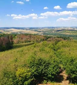 Széchenyi Zsigmond-kilátó