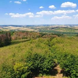 Széchenyi Zsigmond-kilátó Tés - Egyéb