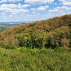 Széchenyi Zsigmond-kilátó Tés - Egyéb