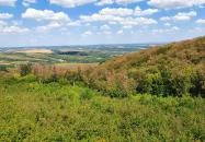 Széchenyi Zsigmond-kilátó Tés