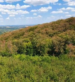 Széchenyi Zsigmond-kilátó