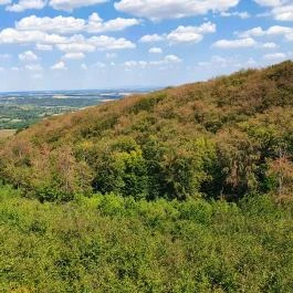 Széchenyi Zsigmond-kilátó Tés - Egyéb