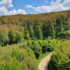 Széchenyi Zsigmond-kilátó Tés - Egyéb