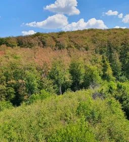 Széchenyi Zsigmond-kilátó