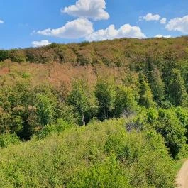 Széchenyi Zsigmond-kilátó Tés - Egyéb