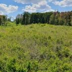 Széchenyi Zsigmond-kilátó Tés - Egyéb