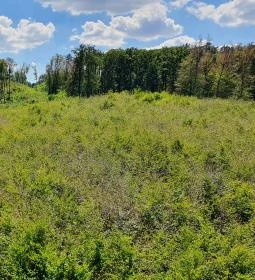 Széchenyi Zsigmond-kilátó