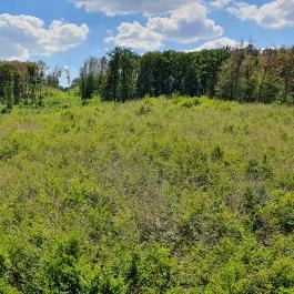 Széchenyi Zsigmond-kilátó Tés - Egyéb