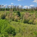 Széchenyi Zsigmond-kilátó Tés - Egyéb