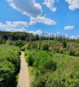 Széchenyi Zsigmond-kilátó