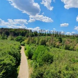 Széchenyi Zsigmond-kilátó Tés - Egyéb