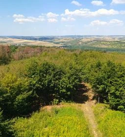 Széchenyi Zsigmond-kilátó