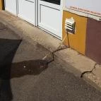 Szeder Kézműves Fagylaltozó Létavértes - Külső kép