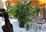 Szedmák Pince & Borház Tarcal