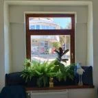 SzeletCake cukrászda Budakeszi - Egyéb