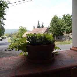 Szent Domonkos Vendéglő Várvölgy - Egyéb