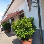 Szent Korona Cukrászda Soltvadkert - Egyéb