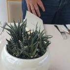 VIATOR Apátsági Étterem és Borbár Pannonhalma - Egyéb