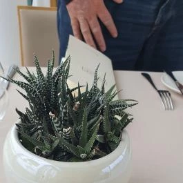 VIATOR Apátsági Étterem és Borbár, Pannonhalma - Egyéb