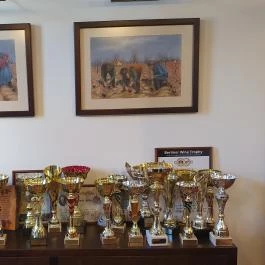 Szentpéteri Borpince Kiskőrös - Egyéb