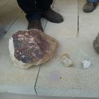 Szepsy Pince Mád - Egyéb