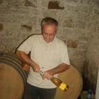 Szepsy Pince Mád - Egyéb