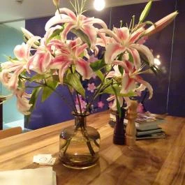 Szerelmeslevél Pékműhely, Budapest - Egyéb