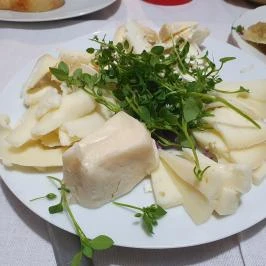 Sziegl pince, Hajós - Egyéb