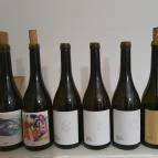 Sziegl pince Hajós - Egyéb