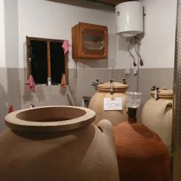 Sziegl pince, Hajós - Egyéb