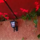 Sziget Büfé Budapest - Egyéb