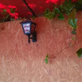 Sziget Büfé, Budapest - Egyéb