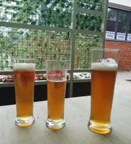 Szivacs Söröző