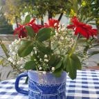 Szlovák Étterem Békéscsaba - Egyéb