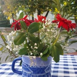 Szlovák Étterem Békéscsaba - Egyéb