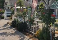 Szó Ami Szó Balatonkenese